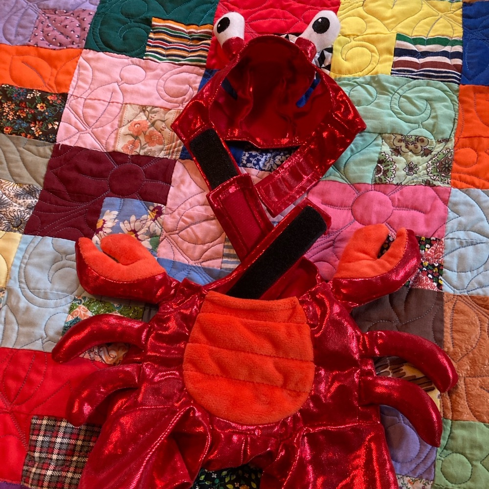 Dog Costume, Crab 🦀 Red, Black and White, Size Small, NWOT